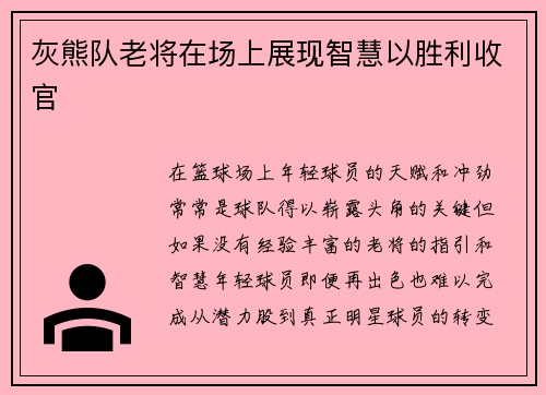 灰熊队老将在场上展现智慧以胜利收官