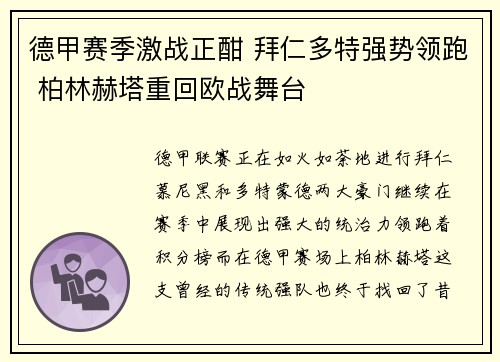 德甲赛季激战正酣 拜仁多特强势领跑 柏林赫塔重回欧战舞台