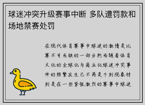 球迷冲突升级赛事中断 多队遭罚款和场地禁赛处罚